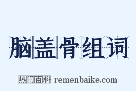 脑盖骨组词是什么意思的图片